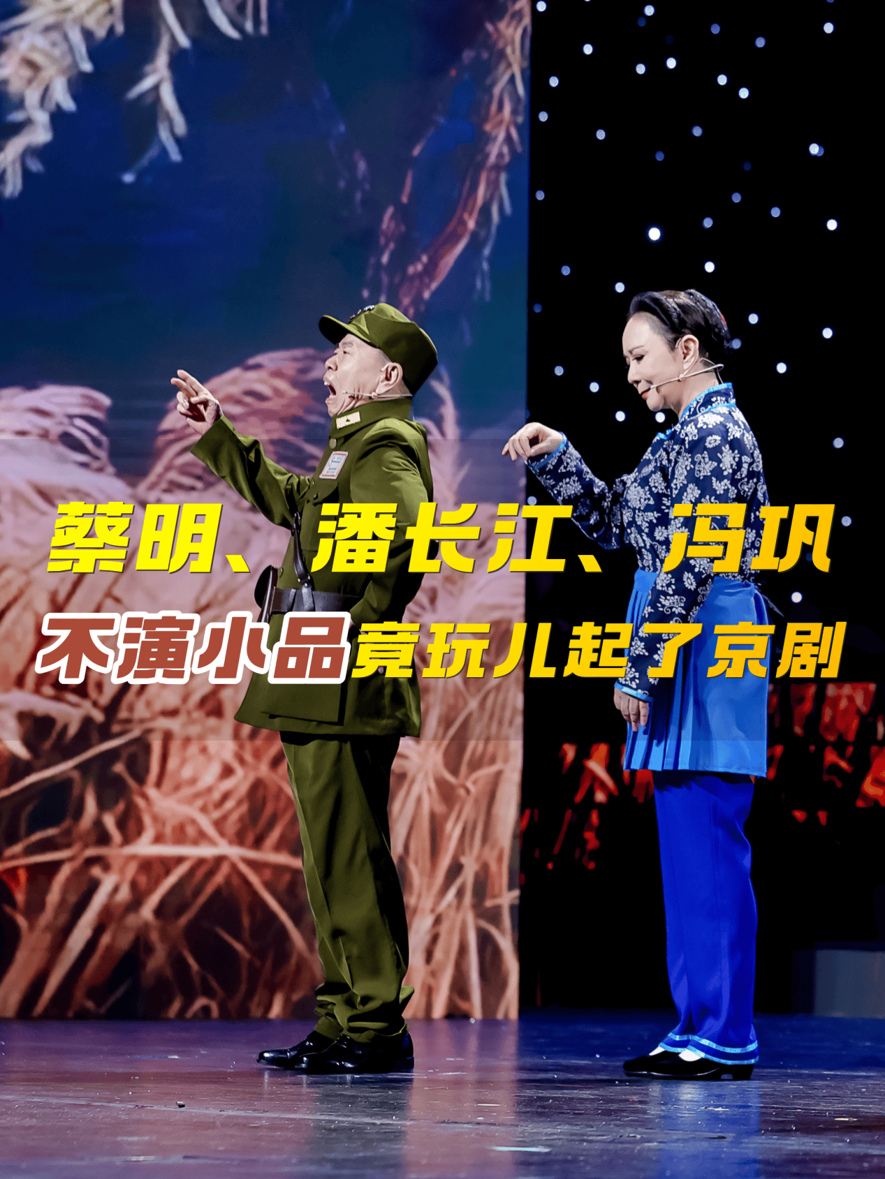 蔡明潘长江冯巩
